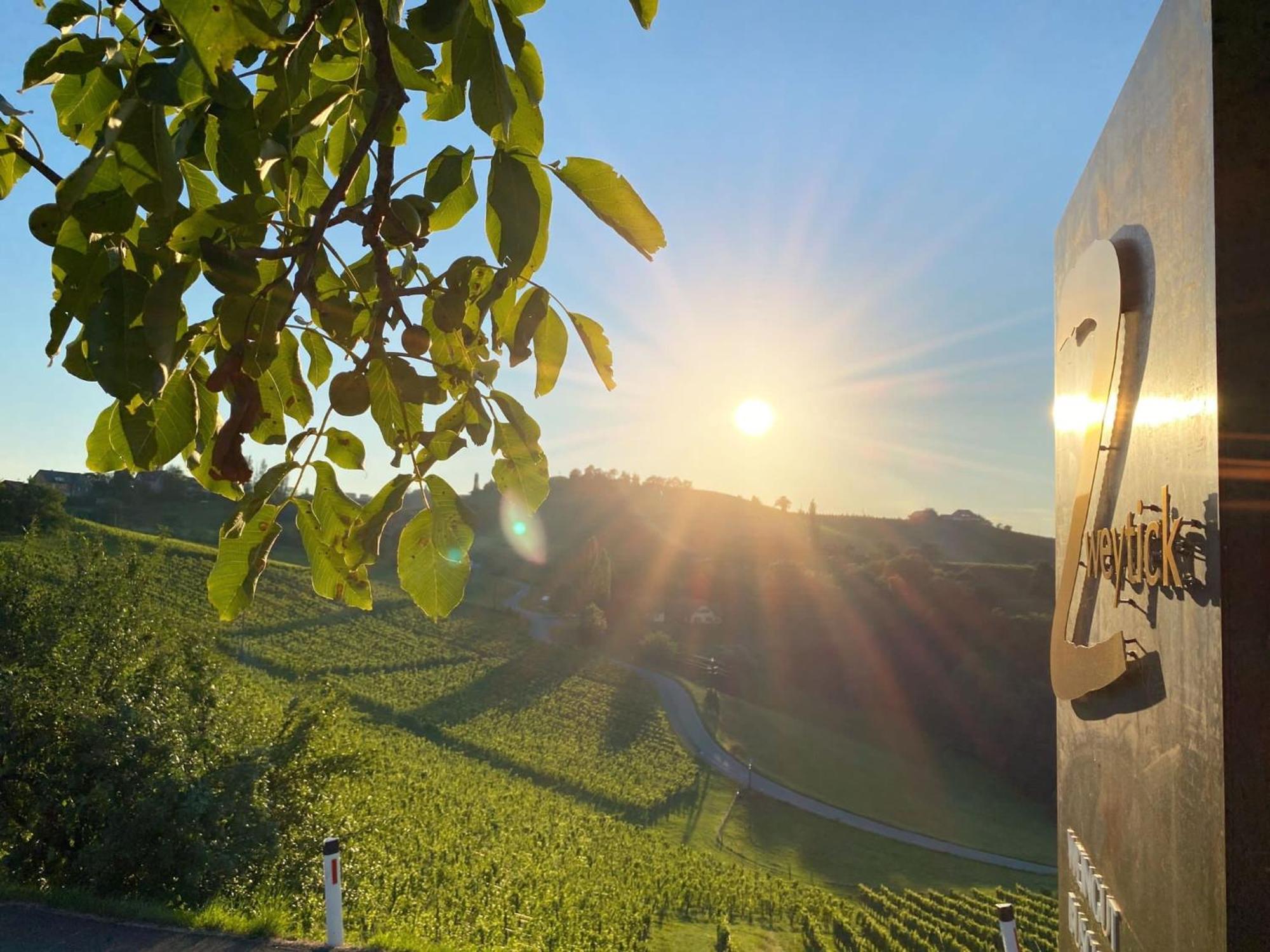 Zweytick Gaestezimmer Weingut Ratsch an der Weinstraße 외부 사진