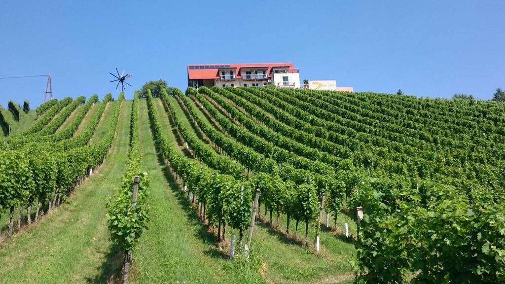 Zweytick Gaestezimmer Weingut Ratsch an der Weinstraße 외부 사진