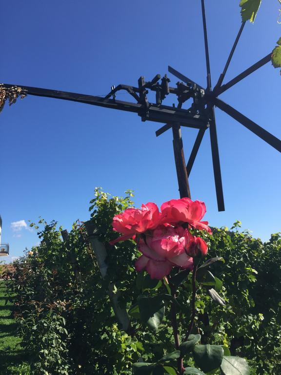 Zweytick Gaestezimmer Weingut Ratsch an der Weinstraße 외부 사진