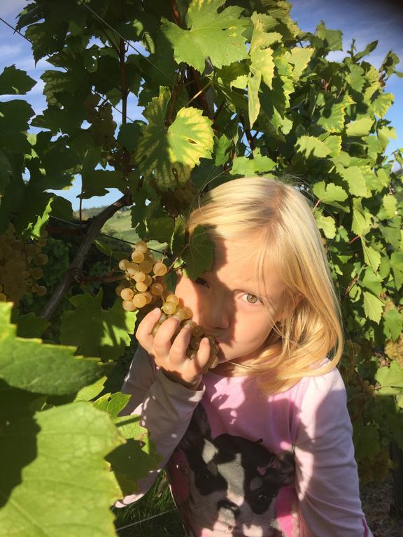 Zweytick Gaestezimmer Weingut Ratsch an der Weinstraße 외부 사진